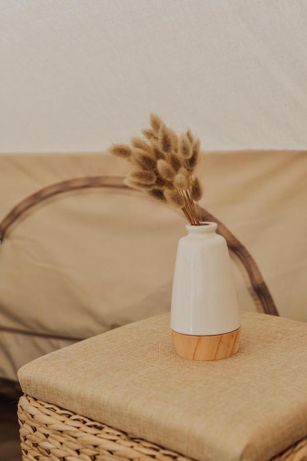 ホテル Cocooning Tipi - セノッス - ル・ペノン エクステリア 写真